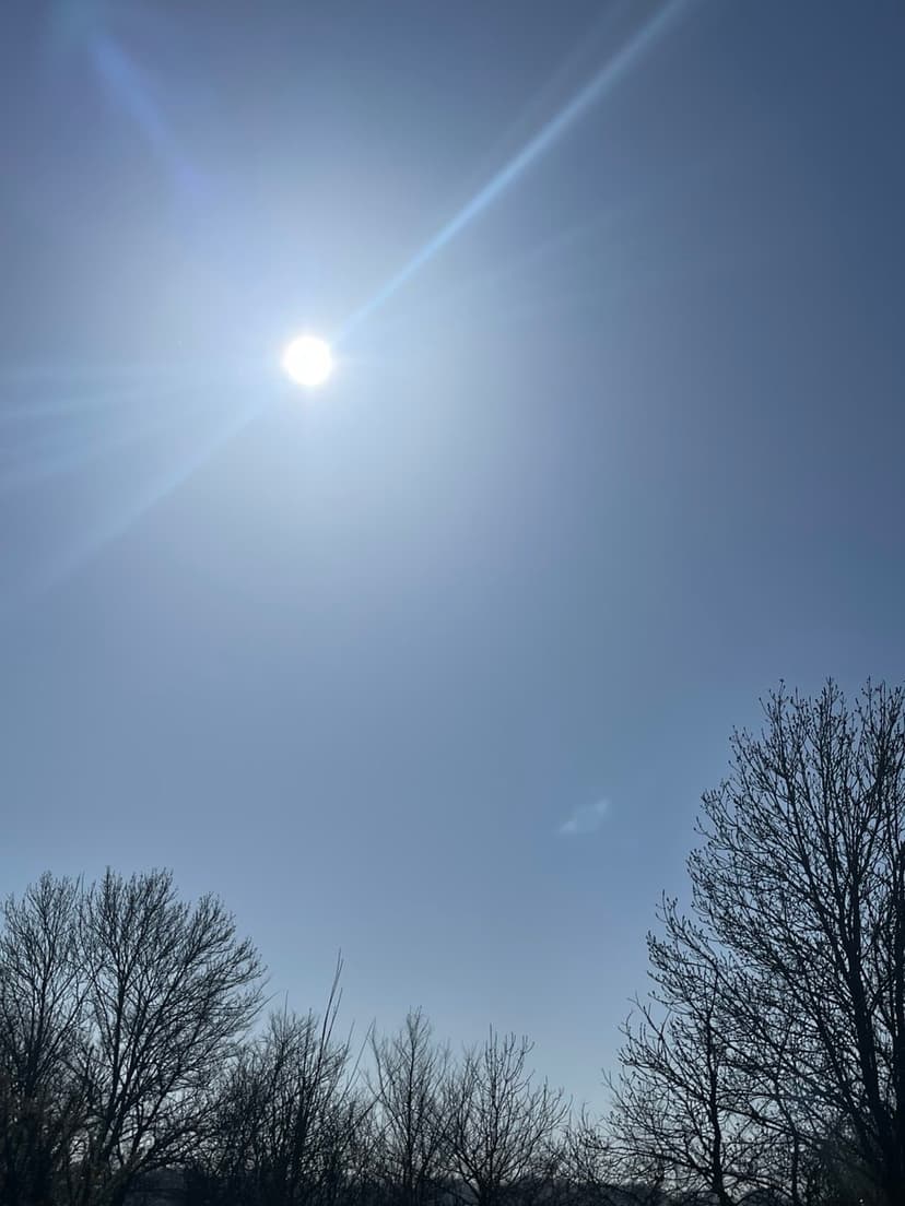 Фотография поста