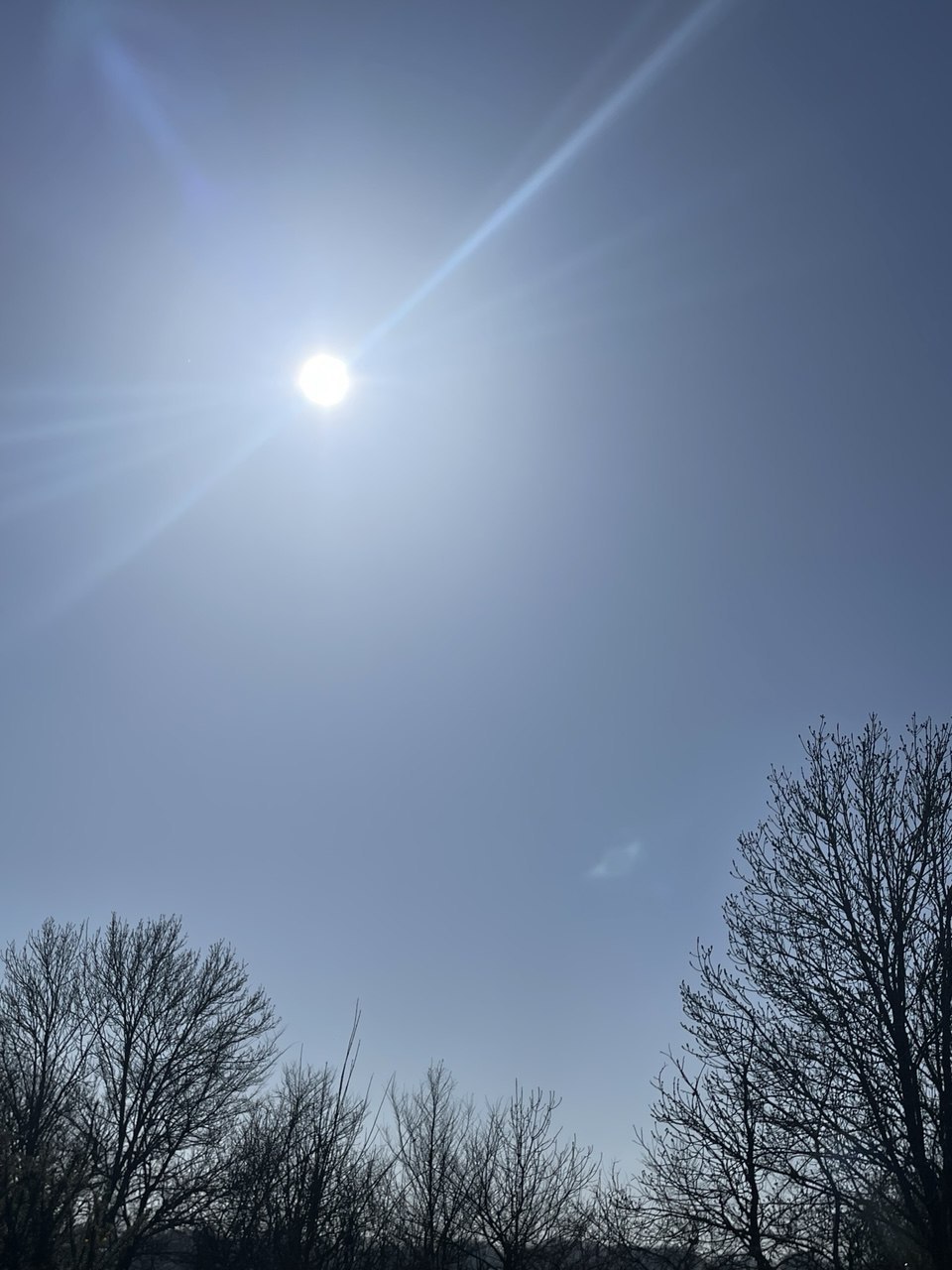 ☀️Март. Первое весеннее солнце. image preview